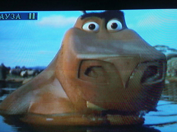 Алекс Мотамота