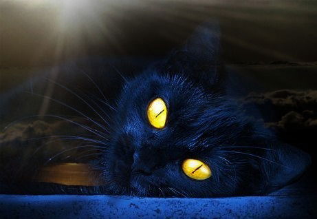 М Павлюкова