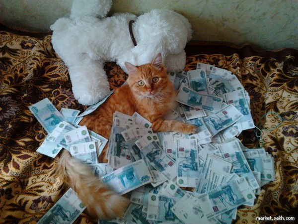 Светлана Светланка