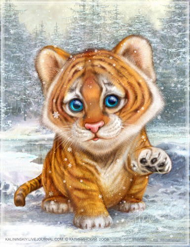 Настя Кулин