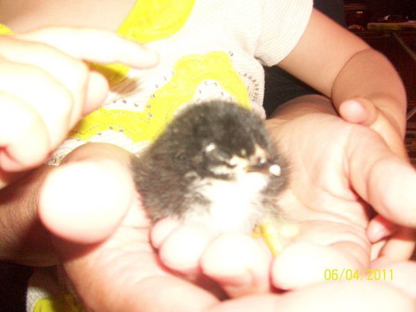 Эдуард Василевскии