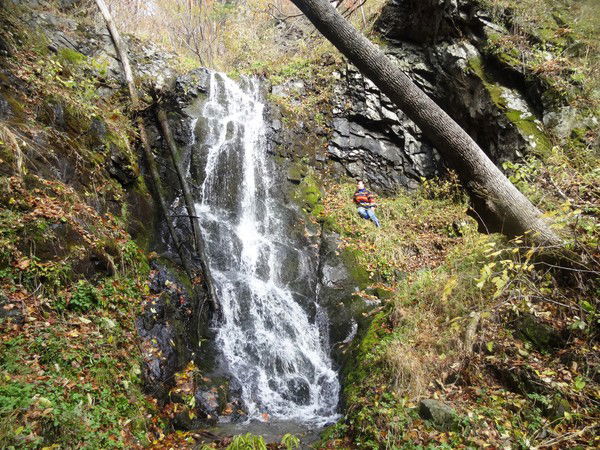 @@@ Лялечка @@@