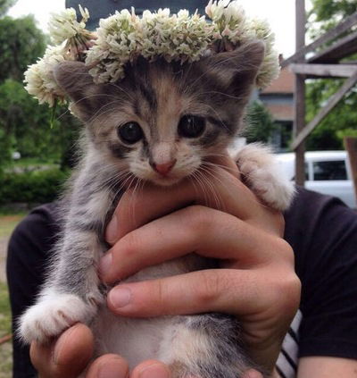 Валерия Кападзе