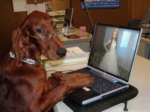 Александр Березовский