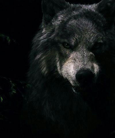 Жахон Раззаков