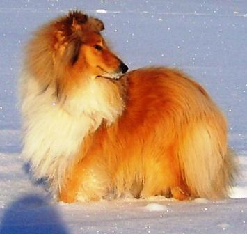 Наталья Гуринович