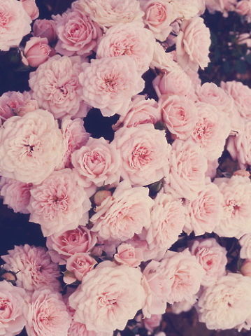 Ольга Малёванная