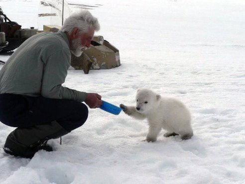 Александр Мельников