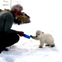 Александр Мельников