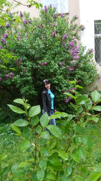 ************** ****************