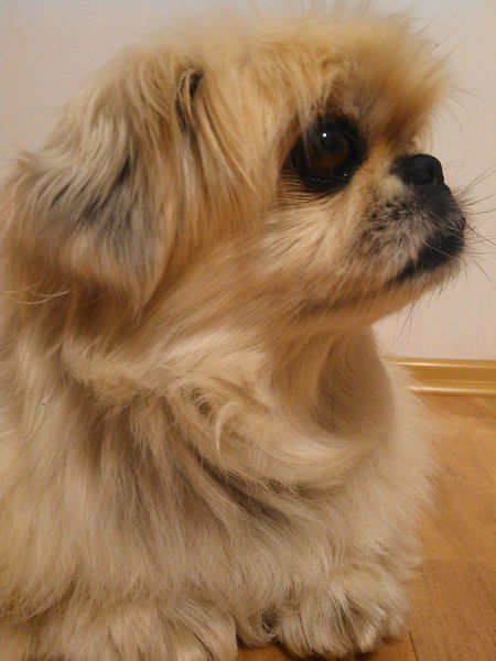 Артур Мурсалимов