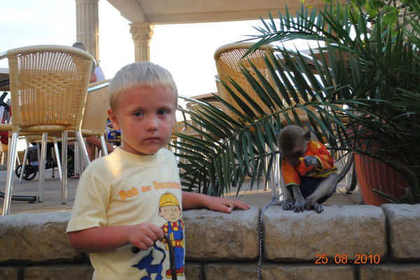 Елена Ноздрачёва