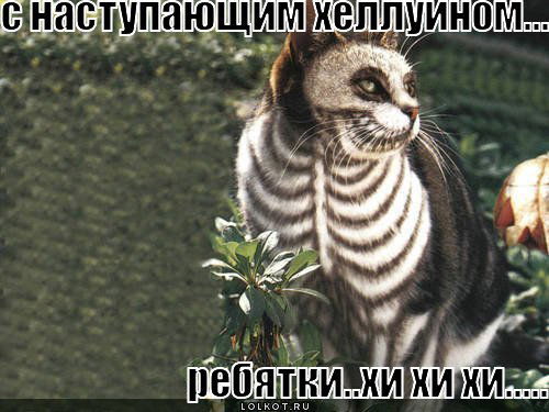 Сергей Щербицкий