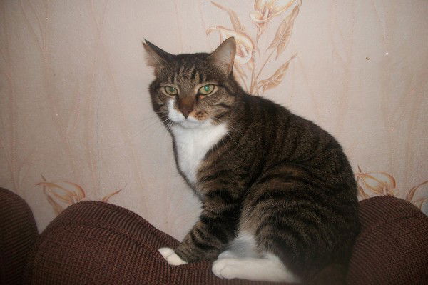 Катерина Щипанова