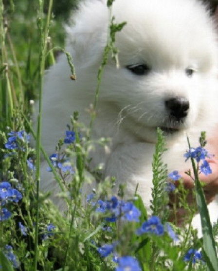 Галя Нурмиева