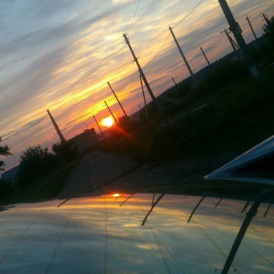 Алёна Кривошеева