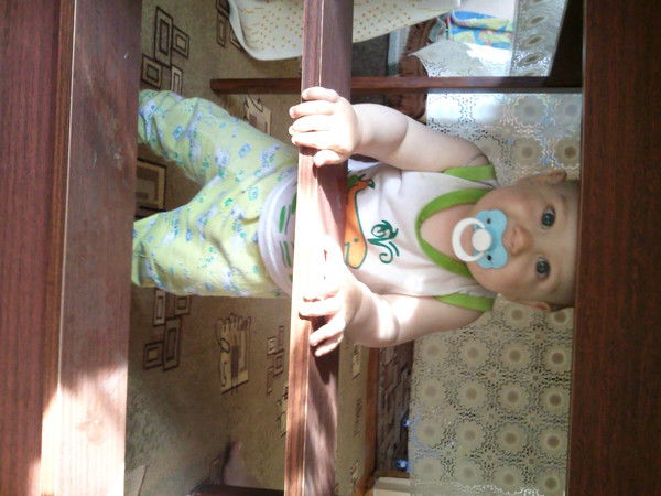 Роман Федин