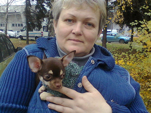 Елена Степанова