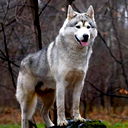 Сергей .