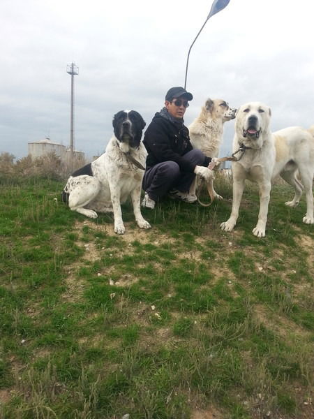 Рустам Алкуатов