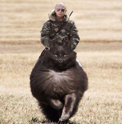 Лилия Бурханова