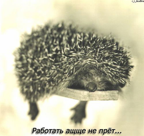 Екатерина Гартавер