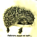 Екатерина Гартавер