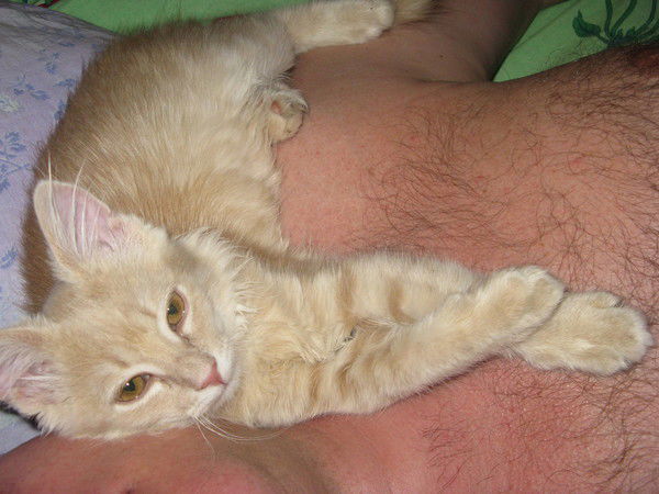 Андрей Мироненко