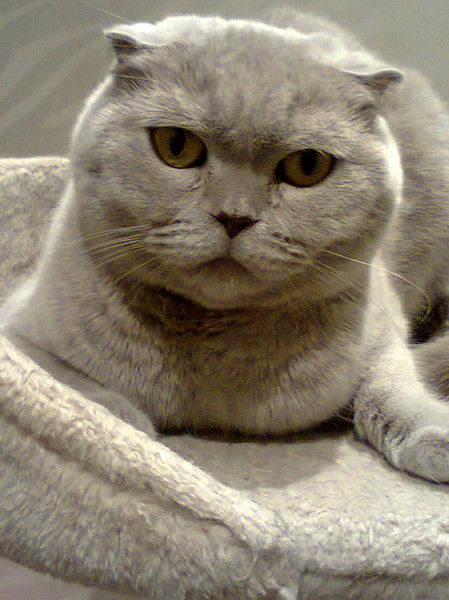 Сергей Массаж