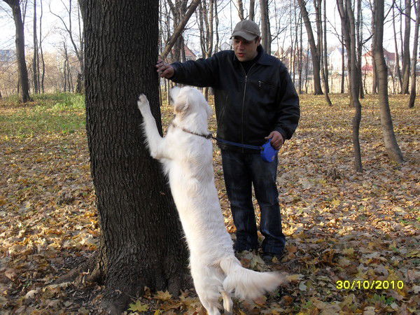Сергей Илюшкин
