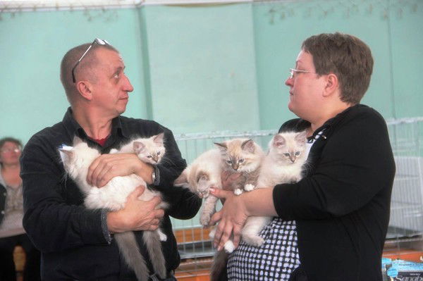 Татьяна Шаферова