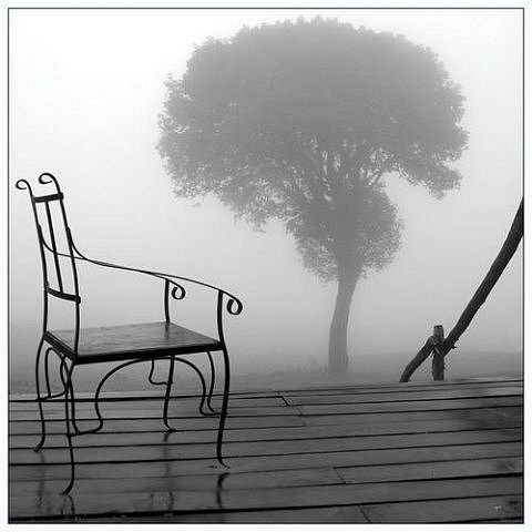 Тимур Ашумов