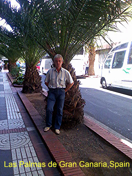 Владимир Васин