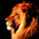 Николай Кожаков