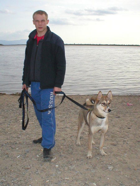 Николай Мироненко