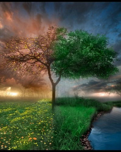 Руслан Якубов