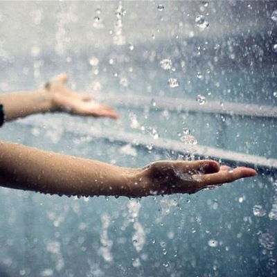 Маргарита Щелочкова