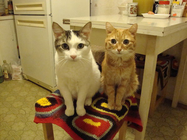 Игорь Милютин