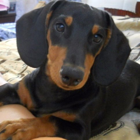 Татьяна Полякова