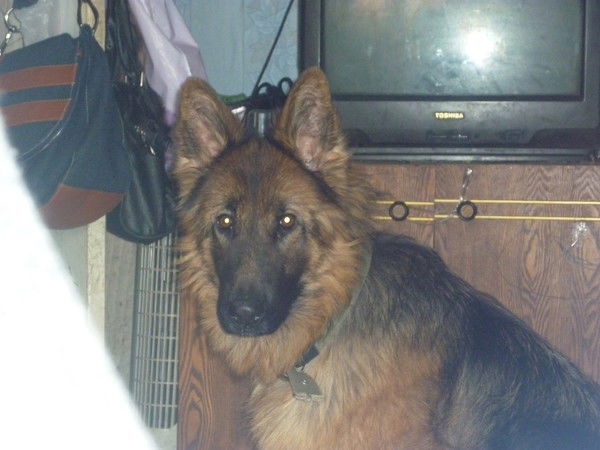 Александра Пащенко