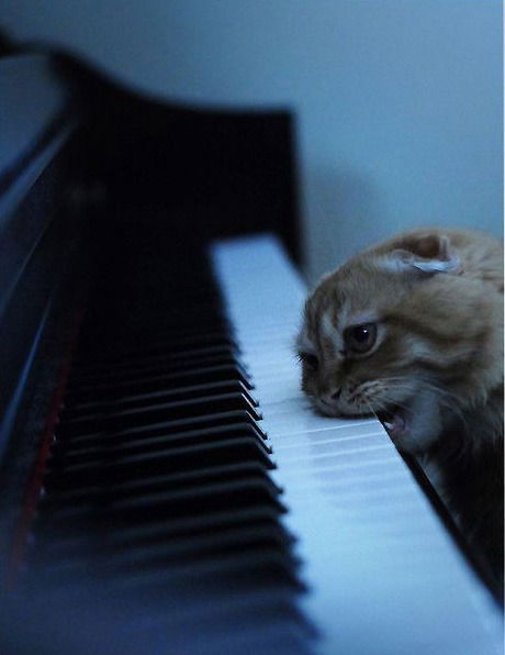 Михаил Титаев