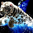 Саня Макаренко