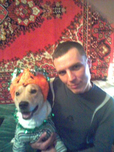 Андрей Стрелько