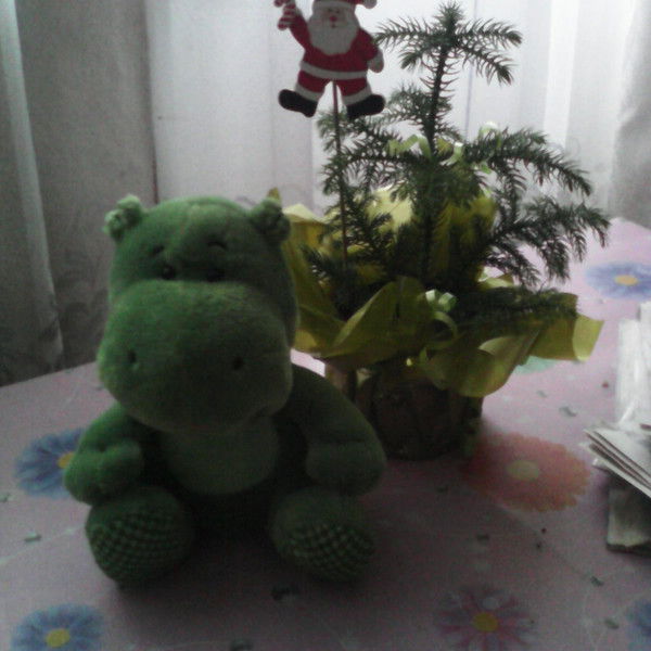 Наталья Булатова