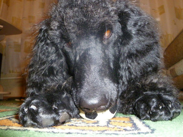 Владимир Сухоруков