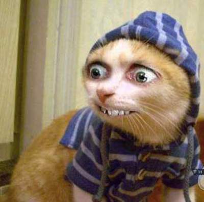 Сергей **********