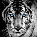 Александр Берг