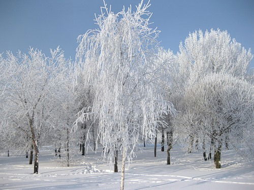 Винер Галиуллин