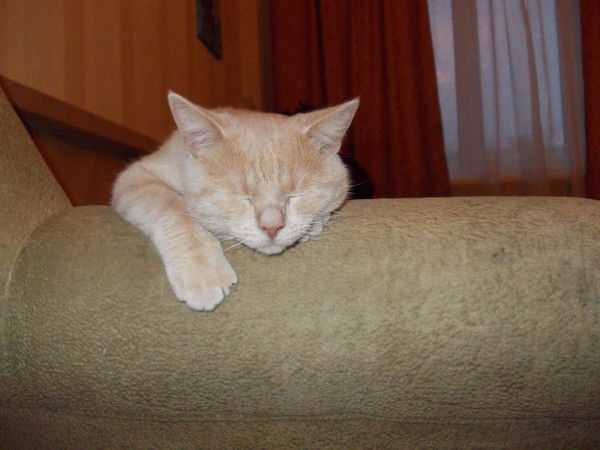 Екатерина Никоненкова