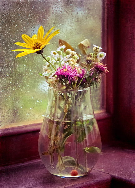 Светлана Кулакова